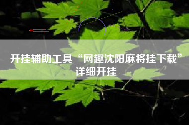 开挂辅助工具“网趣沈阳麻将挂下载”详细开挂