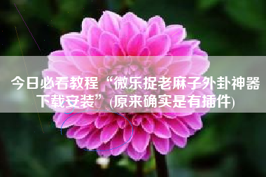 今日必看教程“微乐捉老麻子外卦神器下载安装	”(原来确实是有插件)