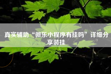 真实辅助“微乐小程序有挂吗”详细分享装挂