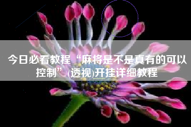 今日必看教程“麻将是不是真有的可以控制	”(透视)开挂详细教程