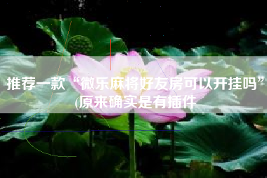 推荐一款“微乐麻将好友房可以开挂吗”(原来确实是有插件