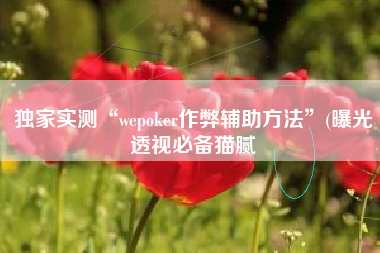 独家实测“wepoker作弊辅助方法	”(曝光透视必备猫腻