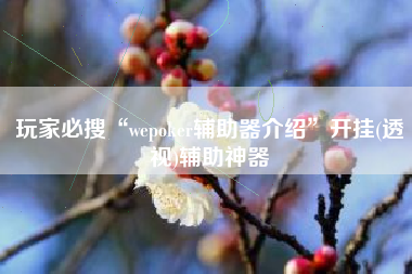 玩家必搜“wepoker辅助器介绍	”开挂(透视)辅助神器