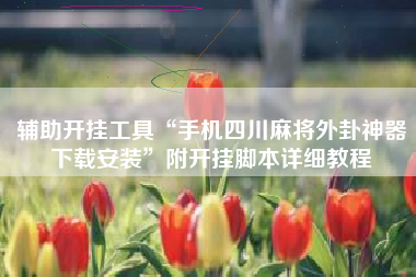 辅助开挂工具“手机四川麻将外卦神器下载安装”附开挂脚本详细教程