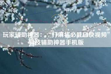 玩家辅助神器：“打麻将必胜口诀视频”科技辅助神器手机版
