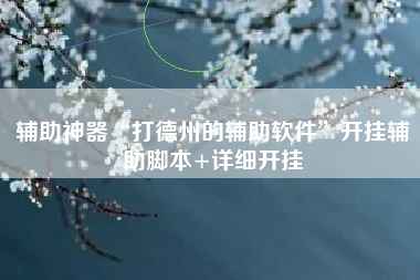 辅助神器“打德州的辅助软件”开挂辅助脚本+详细开挂