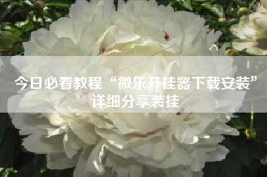 今日必看教程“微乐开挂器下载安装”详细分享装挂