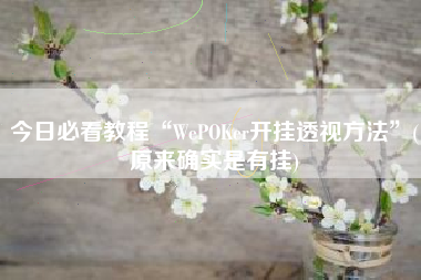 今日必看教程“WePOKer开挂透视方法	”(原来确实是有挂)