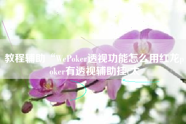 教程辅助“WePoker透视功能怎么用红龙poker有透视辅助挂(太