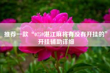 推荐一款“0759湛江麻将有没有开挂的”开挂辅助详细