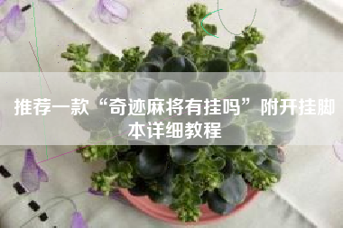推荐一款“奇迹麻将有挂吗”附开挂脚本详细教程