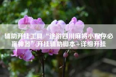 辅助开挂工具“途游四川麻将小程序必赢神器”开挂辅助脚本+详细开挂