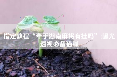 指定教程“牵手湖南麻将有挂吗”(曝光透视必备猫腻