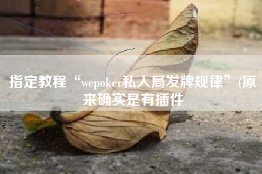 指定教程“wepoker私人局发牌规律	”(原来确实是有插件