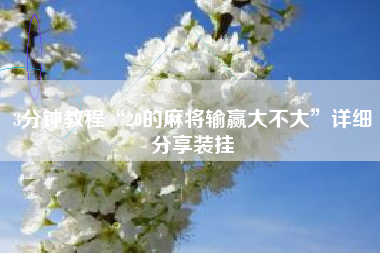 3分钟教程“20的麻将输赢大不大”详细分享装挂