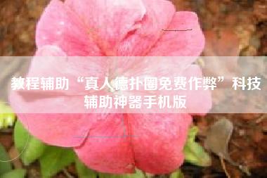 教程辅助“真人德扑圈免费作弊	”科技辅助神器手机版