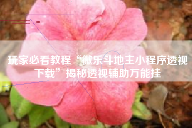 玩家必看教程“微乐斗地主小程序透视下载	”揭秘透视辅助万能挂