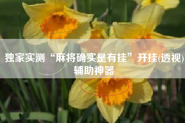 独家实测“麻将确实是有挂”开挂(透视)辅助神器