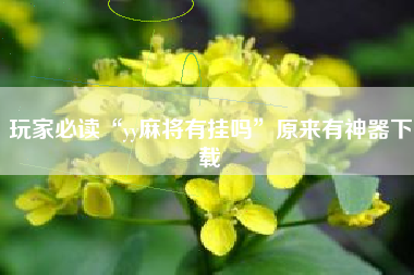 玩家必读“yy麻将有挂吗”原来有神器下载