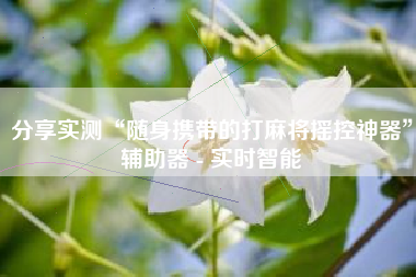 分享实测“随身携带的打麻将摇控神器	”辅助器 - 实时智能