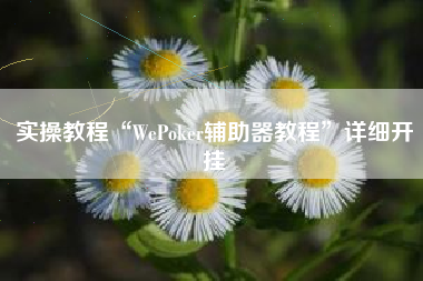 实操教程“WePoker辅助器教程	”详细开挂