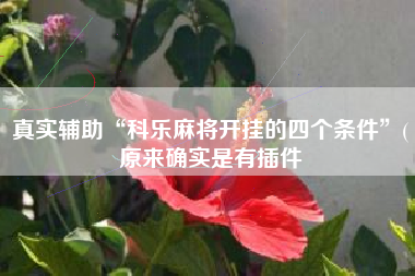 真实辅助“科乐麻将开挂的四个条件”(原来确实是有插件