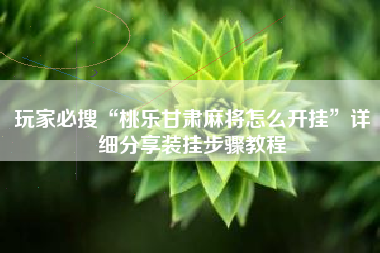 玩家必搜“桃乐甘肃麻将怎么开挂”详细分享装挂步骤教程