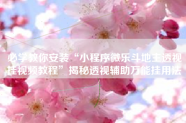 必学教你安装“小程序微乐斗地主透视挂视频教程”揭秘透视辅助万能挂用法