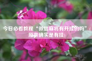 今日必看教程“微信麻将有开挂的吗	”(原来确实是有挂)