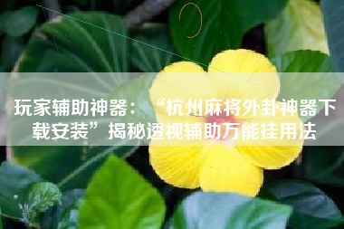 玩家辅助神器：“杭州麻将外卦神器下载安装	”揭秘透视辅助万能挂用法