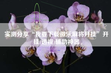 实测分享“我要下载微乐麻将开挂”开挂(透视)辅助神器