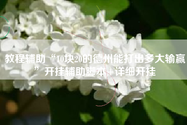 教程辅助“10块20的德州能打出多大输赢”开挂辅助脚本+详细开挂