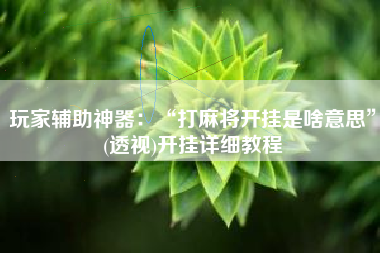 玩家辅助神器：“打麻将开挂是啥意思	”(透视)开挂详细教程