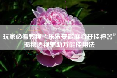 玩家必看教程“乐乐安徽麻将开挂神器”揭秘透视辅助万能挂用法