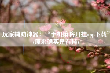 玩家辅助神器：“手机麻将开挂app下载	”(原来确实是有挂)