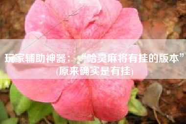 玩家辅助神器：“哈灵麻将有挂的版本”(原来确实是有挂)