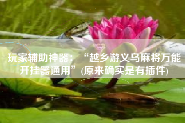 玩家辅助神器：“越乡游义乌麻将万能开挂器通用”(原来确实是有插件)