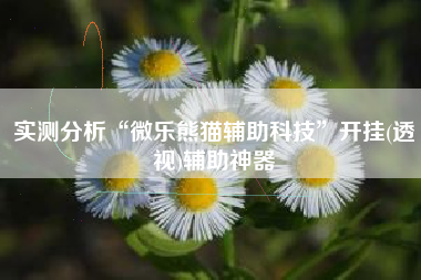 实测分析“微乐熊猫辅助科技”开挂(透视)辅助神器