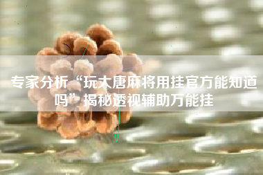 专家分析“玩大唐麻将用挂官方能知道吗”揭秘透视辅助万能挂