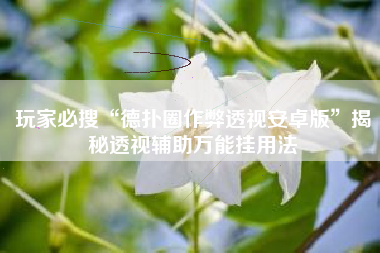 玩家必搜“德扑圈作弊透视安卓版”揭秘透视辅助万能挂用法