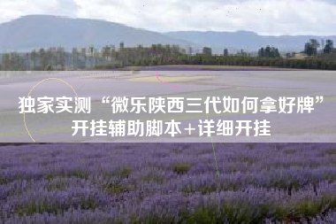 独家实测“微乐陕西三代如何拿好牌”开挂辅助脚本+详细开挂