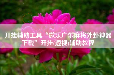 开挂辅助工具“微乐广东麻将外卦神器下载”开挂(透视)辅助教程