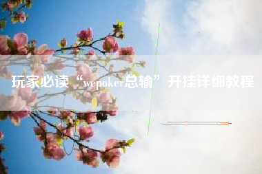 玩家必读“wepoker总输”开挂详细教程