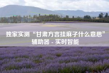 独家实测“甘肃方言挂麻子什么意思”辅助器 - 实时智能