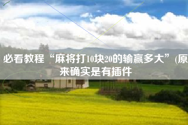 必看教程“麻将打10块20的输赢多大”(原来确实是有插件