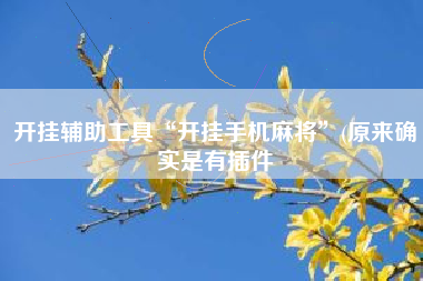 开挂辅助工具“开挂手机麻将	”(原来确实是有插件