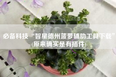 必备科技“智星德州菠萝辅助工具下载”(原来确实是有插件)