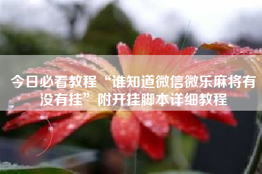 今日必看教程“谁知道微信微乐麻将有没有挂”附开挂脚本详细教程