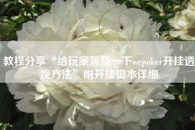 教程分享“给玩家普及一下wepoker开挂透视方法”附开挂脚本详细