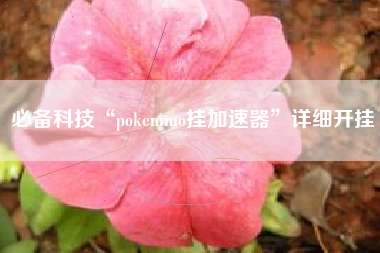 必备科技“pokemmo挂加速器”详细开挂